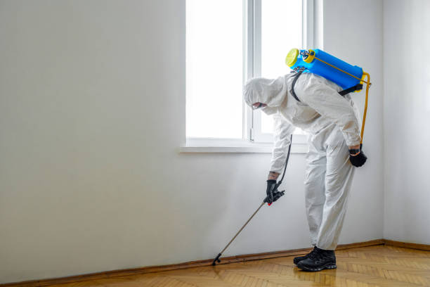 Professional Pest Control in Athens, TX